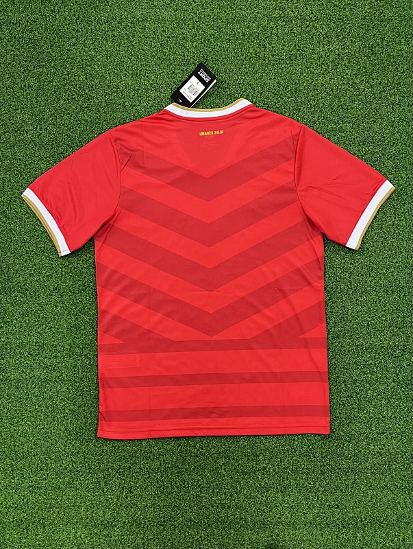 Panama Soccer Jersey Special Edition detail view 2