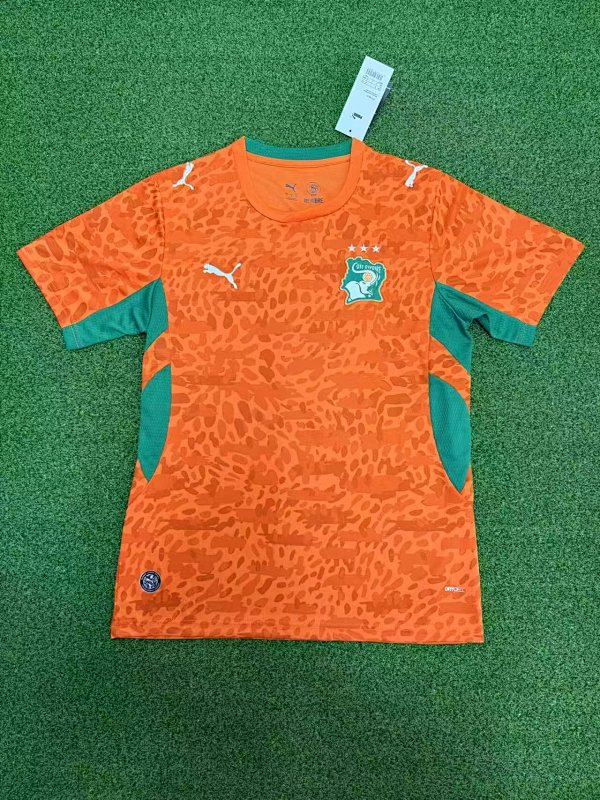 Cote d'Ivoire Home Soccer Jersey 2026/27 product detail