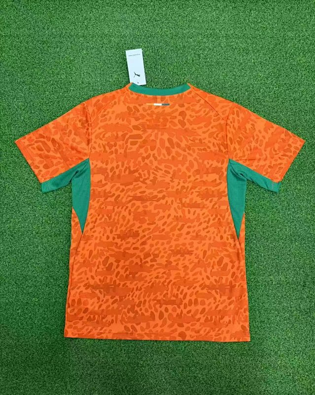 Cote d'Ivoire Home Soccer Jersey 2026/27 detail view 2