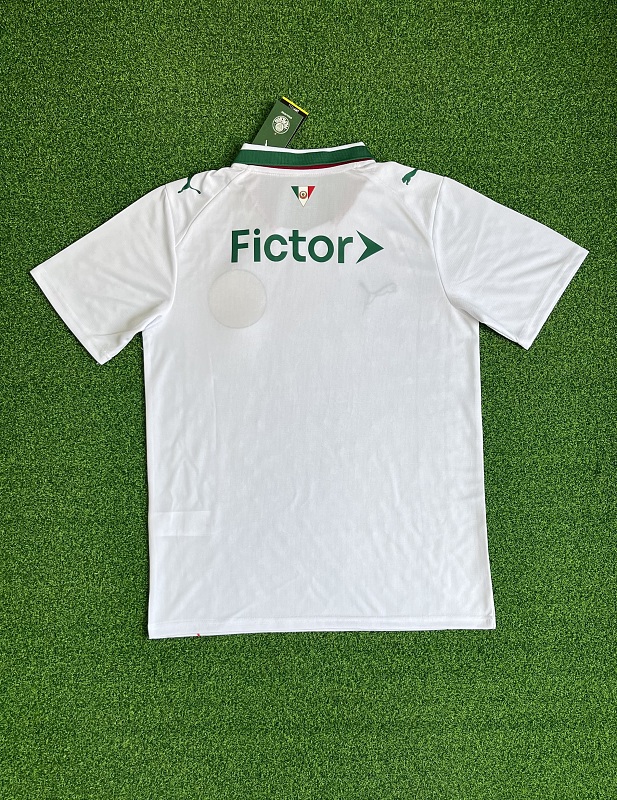 Palmeiras Away Soccer Jersey 2026/27 detail view 2
